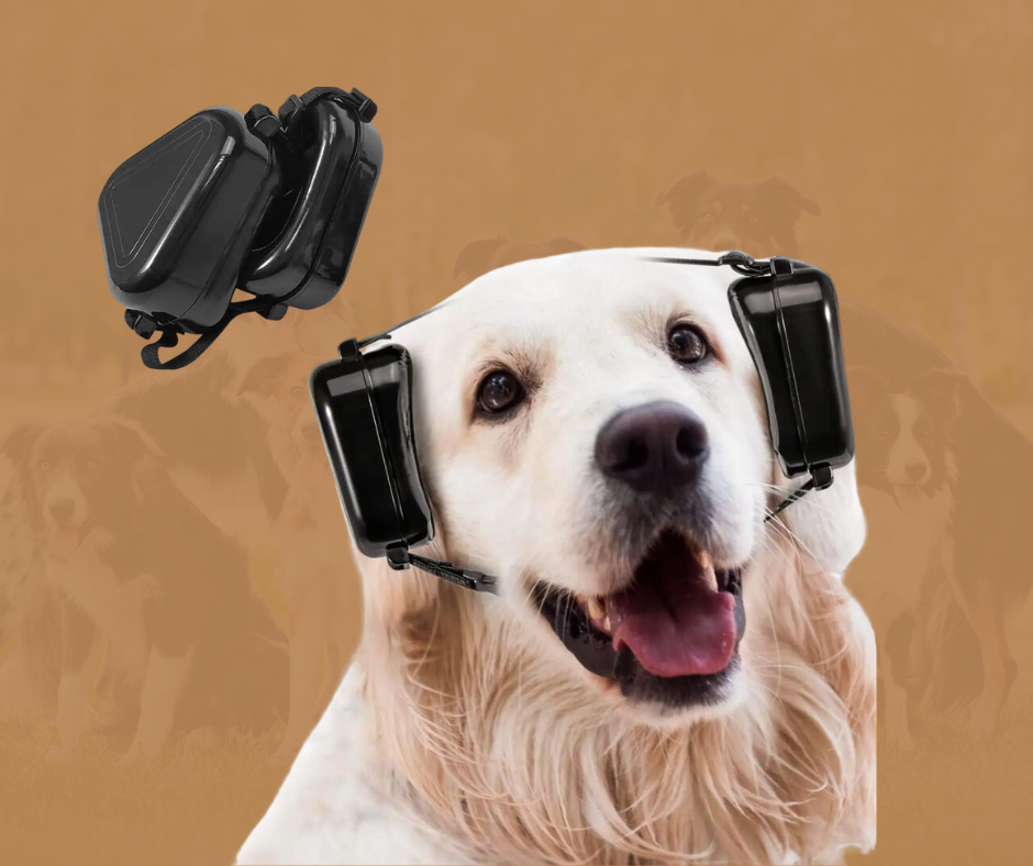 SoundGuard - Lärmschutz, der deinen Hund beruhigt