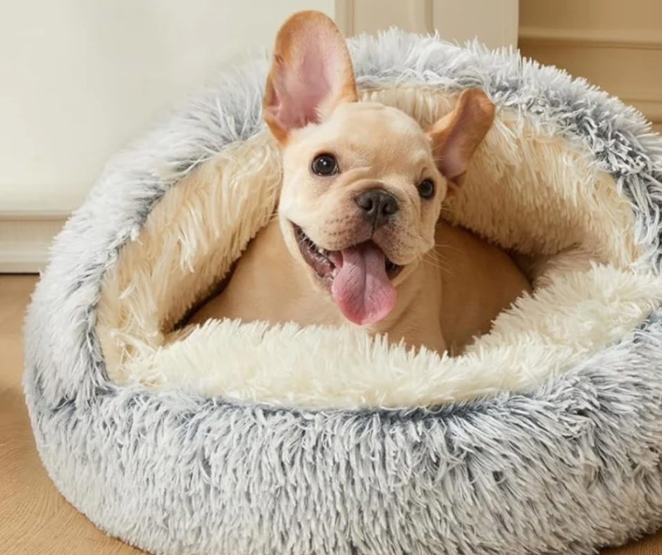 SnugglePod – Mehr Ruhe, weniger Stress auch wenn du nicht da bist