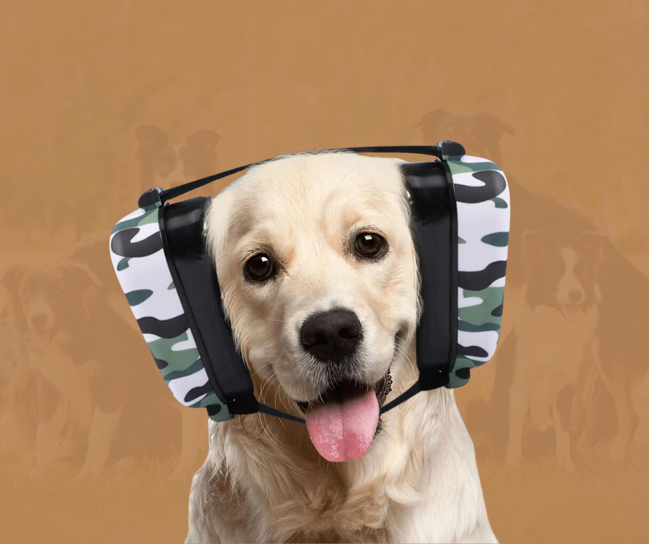 SoundGuard - Lärmschutz, der deinen Hund beruhigt
