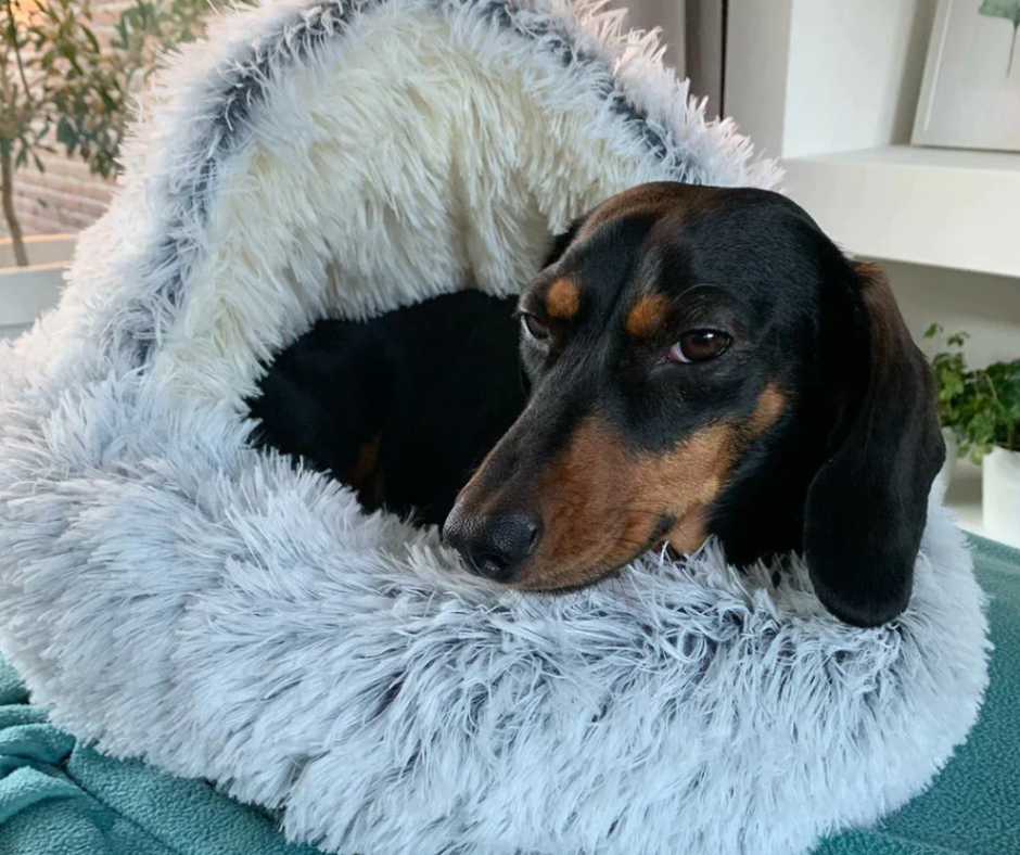 SnugglePod – Mehr Ruhe, weniger Stress auch wenn du nicht da bist