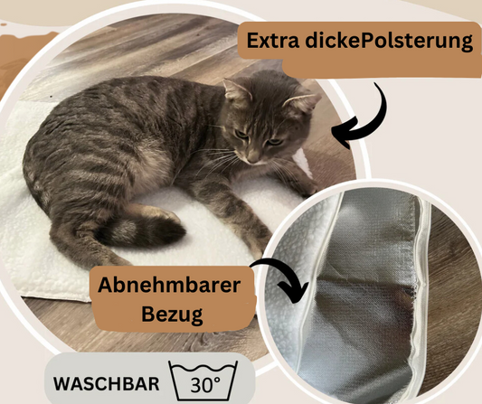 Whisper- Die Kuscheloase für deinen Liebling